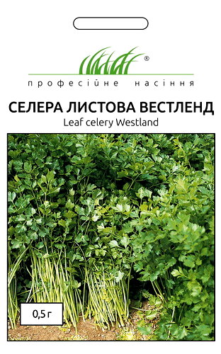 Семена сельдерея листовой Семена сельдерея листовой