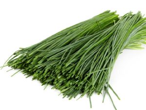 Цибуля Шнітт