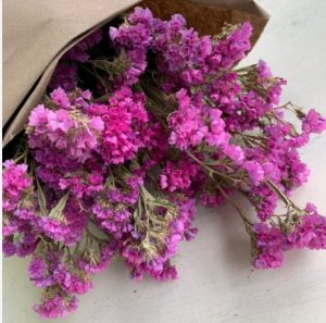 Статиця Хіпстер рожева