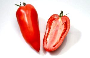 Томат Корнабель F1