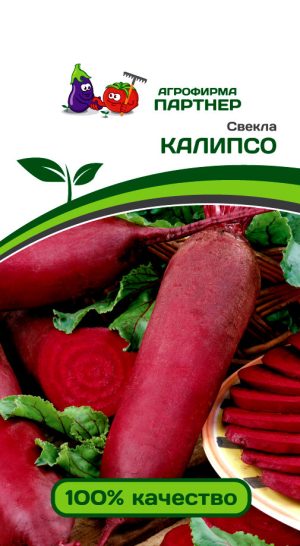 Свекла Калипсо