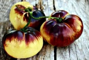 Томат Роза Маракешу