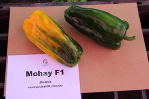 Перець Мохай F1