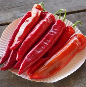 Перець Тонгуа F1