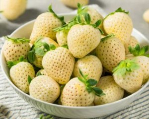 Полуниця Єллоу Крім