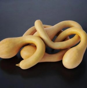 Гарбуз Тромбон