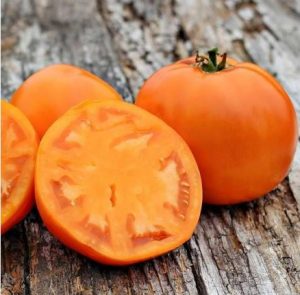 Томат Солидо F1