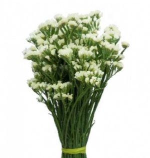 Статиця Хіпстер біла