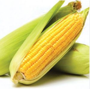 Кукурудза Ноа F1