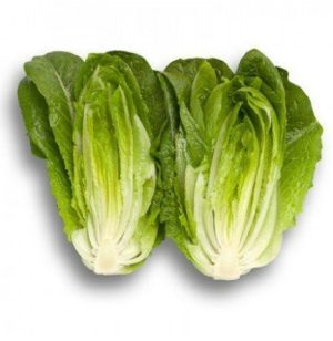 Салат Адікамп тип Ромен