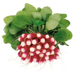 Редис Трето F1