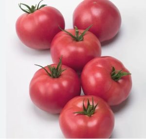 Томат Пінкджейн F1