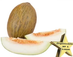 Диня Сапоміель F1