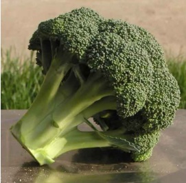 Капуста Айронмен F1