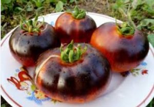 Томат Червоне вугілля