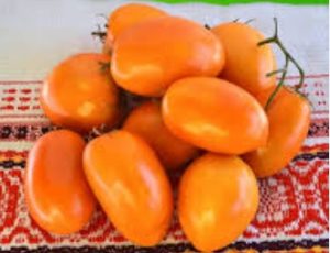 Томат Полтавська галушка