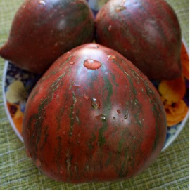 Томат Прайм VT-16