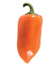 Перець міні Алікуді F1