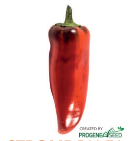 Перець міні Стромболі F1